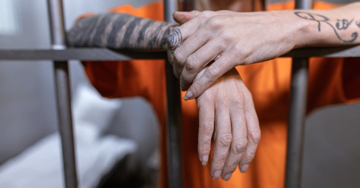 Cover Image for Unraveling Crime: A Deep Dive into the Modern Criminal Justice System